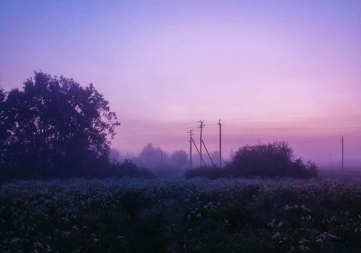 MK体育平台：科技驱动的体育新生活